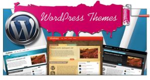 Que tener en cuenta a la hora de elegir el tema de WordPress