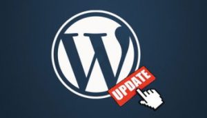 WordPress 4.7.3